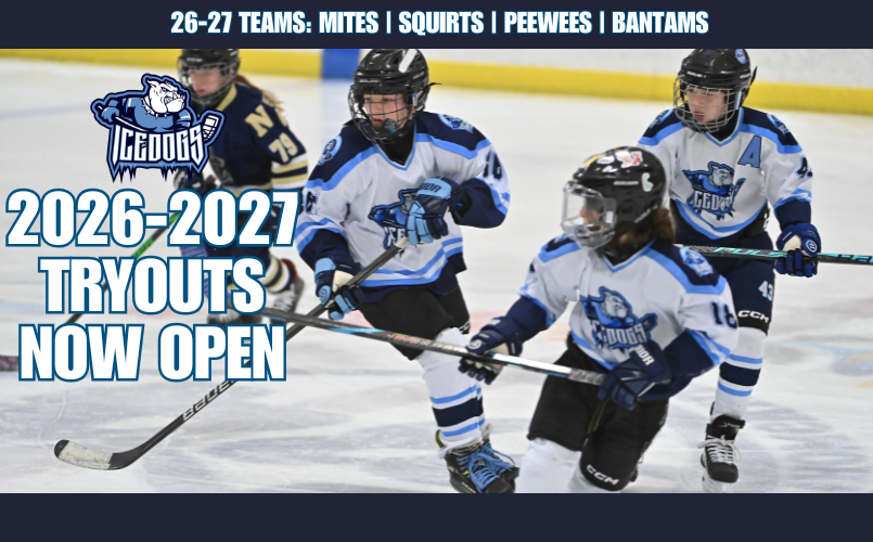 2026-2027 Tryouts